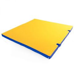 Мат гимнастический 1х1х0,05м с вырезом под стойки цв. синий-желтый в Березниках - berezniki.mebel24.online | фото 1