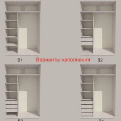 Шкаф-купе 1300 серии SILVER S3+S4+B2+PL4 (2 ящика+F обр.штанга) профиль «Серебро» в Березниках - berezniki.mebel24.online | фото 5