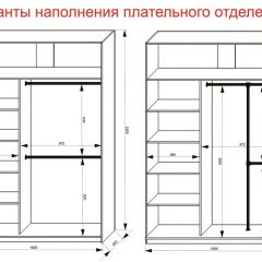 Шкаф-купе 1600 серии SOFT D6+D4+B2+PL2 (2 ящика+1штанга+1 полка) профиль «Капучино» в Березниках - berezniki.mebel24.online | фото 9