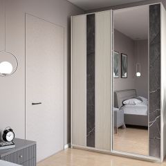 Шкаф-купе 1700 серии SILVER S4+S3Z+B2+PL1 (2 ящика+1 штанга) профиль «Серебро» в Березниках - berezniki.mebel24.online | фото