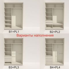 Шкаф-купе 1800 серии SOFT D6+D6+B2+PL3 (2 ящика+2штанги) профиль «Капучино» в Березниках - berezniki.mebel24.online | фото 6