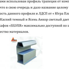 Шкаф-купе 1950 серии SILVER S5+S5+S5 B22+PL4 (по 2 ящика лев/прав+F обр.штанга) профиль «Серебро» в Березниках - berezniki.mebel24.online | фото 4