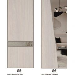 Шкаф-купе 1950 серии SILVER S5+S5+S5 B22+PL4 (по 2 ящика лев/прав+F обр.штанга) профиль «Серебро» в Березниках - berezniki.mebel24.online | фото 14