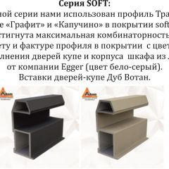 Шкаф-купе 2100 серии SOFT D5+D4+D5+B22+PL3 (по 2 ящика лев/прав+2штанги) профиль «Графит» в Березниках - berezniki.mebel24.online | фото 12