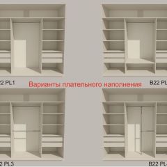 Шкаф-купе 2100 серии SOFT D5+D5+D5+B22+PL4 (по 2 ящика лев/прав+2штанги) профиль «Графит» в Березниках - berezniki.mebel24.online | фото 4