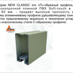 Шкаф-купе 2150 серии NEW CLASSIC K4+K4+K4+B22+PL4(по 2 ящика лев/прав+F обр.штанга) профиль «Капучино» в Березниках - berezniki.mebel24.online | фото 17