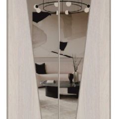 Шкаф-купе 2250 серии SILVER S3+S1+S3Z B22+PL2 (по 2 ящика лев/прав+1штанга+1 полка) профиль «Серебро» в Березниках - berezniki.mebel24.online | фото 15