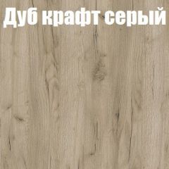 Шкаф-купе Бассо 1.0 (Дуб Крафт серый/Бетонный камень) 2 двери ЛДСП 2 зеркальные вставки в Березниках - berezniki.mebel24.online | фото 4