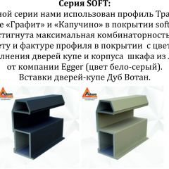 Шкаф-купе 1400 серии SOFT D1+D3+B2+PL1 (2 ящика+1штанга) профиль «Графит» в Березниках - berezniki.mebel24.online | фото 5