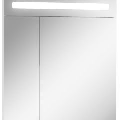 Шкаф-зеркало Аврора 65 с подсветкой LED Домино (DV8006HZ) в Березниках - berezniki.mebel24.online | фото