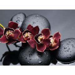 Стол обеденный Бостон Ст101.1 орхидеи в Березниках - berezniki.mebel24.online | фото 3