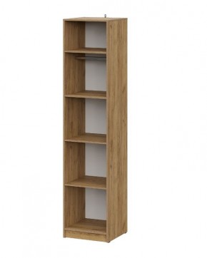 АВИНЬОН Прихожая Пенал (Дуб Крафт золотой/Графит серый) в Березниках - berezniki.mebel24.online | фото 2