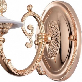 Бра Arte Lamp 8020 A8020AP-1WG в Березниках - berezniki.mebel24.online | фото 4