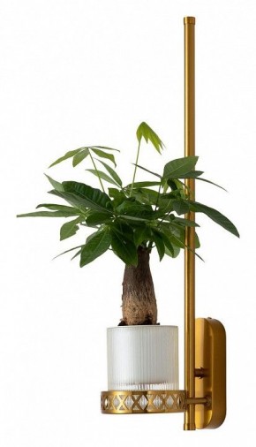 Бра Favourite Greenery 4050-1W в Березниках - berezniki.mebel24.online | фото 4