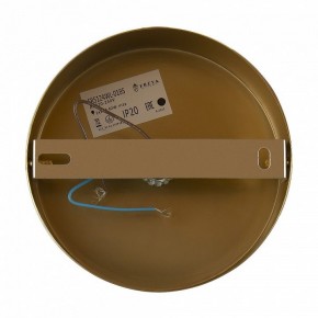 Бра Freya Zelda FR5124WL-01BS в Березниках - berezniki.mebel24.online | фото 6