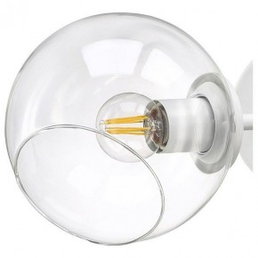 Бра Lightstar Beta 785626 в Березниках - berezniki.mebel24.online | фото 4