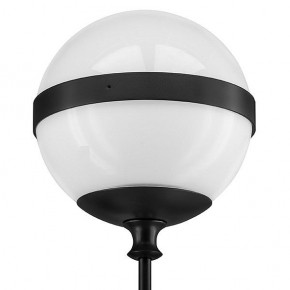 Бра Lightstar Globo 813617 в Березниках - berezniki.mebel24.online | фото 3