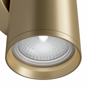 Бра Maytoni Focus S C068WL-02MG в Березниках - berezniki.mebel24.online | фото 4