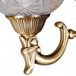 Бра MW-Light Афродита 2 317021902 в Березниках - berezniki.mebel24.online | фото 5