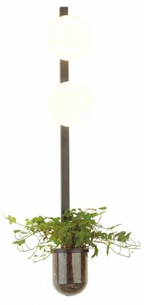Бра Odeon Light Flower 4681/2WA в Березниках - berezniki.mebel24.online | фото 3