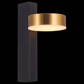 Бра ST-Luce Pances SL6000.301.01 в Березниках - berezniki.mebel24.online | фото 4