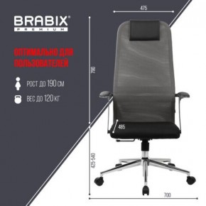 Кресло офисное BRABIX PREMIUM "Ultimate EX-801" хром, плотная двойная сетка Х2, черное/серое, 532918 в Березниках - berezniki.mebel24.online | фото 5