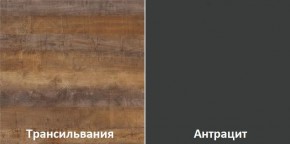 Кухонный гарнитур угловой Трансильвания 2600х1600 мм (Стол. 38 мм) в Березниках - berezniki.mebel24.online | фото 3