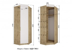 ЛАВИС Детская (модульная) белый/роза-белый софт/ручка золотая в Березниках - berezniki.mebel24.online | фото 11
