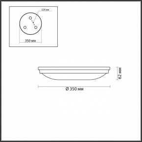 Накладной светильник Odeon Light Pelow 4956/4 в Березниках - berezniki.mebel24.online | фото 3