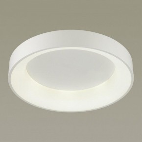 Накладной светильник Odeon Light Sole 4062/50CL в Березниках - berezniki.mebel24.online | фото 2