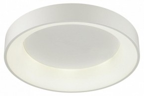 Накладной светильник Odeon Light Sole 4062/50CL в Березниках - berezniki.mebel24.online | фото 3