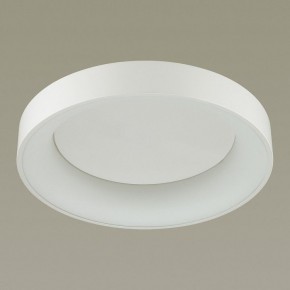 Накладной светильник Odeon Light Sole 4062/50CL в Березниках - berezniki.mebel24.online | фото 4