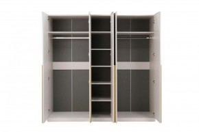 НИКОЛЬ 25 Шкаф 5-ти створчатый в Березниках - berezniki.mebel24.online | фото 3