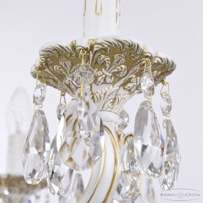 Подвесная люстра Bohemia Ivele Crystal AL7801 AL78101/10/250 A WMG в Березниках - berezniki.mebel24.online | фото 7