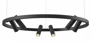 Подвесная люстра Maytoni Halo MOD102PL-L42BK в Березниках - berezniki.mebel24.online | фото