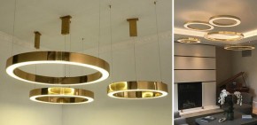 Подвесной светильник Imperiumloft Light Ring Horizontal 40.1454-100 в Березниках - berezniki.mebel24.online | фото 2