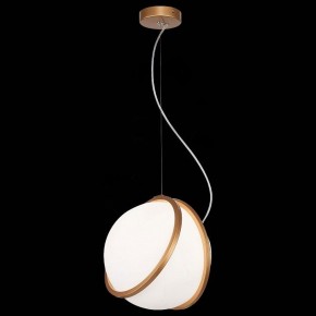 Подвесной светильник ST-Luce Acerra SL1181.353.01 в Березниках - berezniki.mebel24.online | фото 4