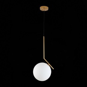 Подвесной светильник ST-Luce Codda SL1148.303.01 в Березниках - berezniki.mebel24.online | фото 6