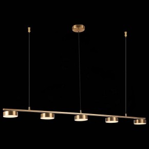 Подвесной светильник ST-Luce Pances SL6000.303.05 в Березниках - berezniki.mebel24.online | фото 5