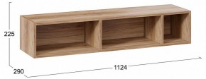Полка навесная ТД-102.28 в Березниках - berezniki.mebel24.online | фото 9