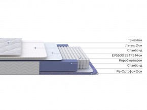 PROxSON Матрас Active Duo S/F (Ткань Трикотаж Эко) 160x190 в Березниках - berezniki.mebel24.online | фото 3