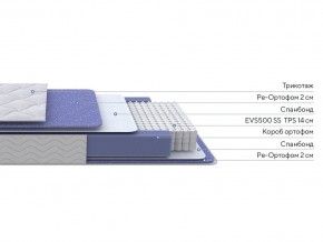 PROxSON Матрас Active F (Ткань Трикотаж Эко) 80x195 в Березниках - berezniki.mebel24.online | фото 2