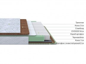 PROxSON Матрас Green Duo M/F (Tricotage Dream) 80x200 в Березниках - berezniki.mebel24.online | фото 1