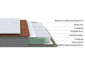 PROxSON Матрас Lux Duo M/F (Non-Stress) 120x200 в Березниках - berezniki.mebel24.online | фото 3
