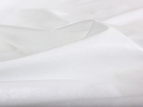 PROxSON Защитный чехол Aqua Save M (Ткань влагостойкая Terry Cloth) 90x195 в Березниках - berezniki.mebel24.online | фото 6