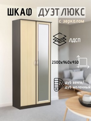 Шкаф 2-х створчатый Дуэт Люкс с зеркалом в Березниках - berezniki.mebel24.online | фото 1