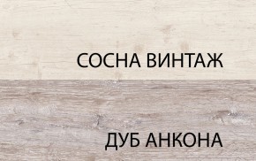 Шкаф 2DG2S, MONAKO, цвет Сосна винтаж/дуб анкона в Березниках - berezniki.mebel24.online | фото