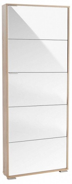 Шкаф для обуви Viva-5LW в Березниках - berezniki.mebel24.online | фото