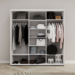 Шкаф-купе Акцент-Квадро ДЗ 2400-600 в Березниках - berezniki.mebel24.online | фото 2