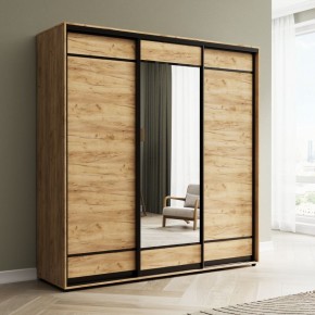 Шкаф-купе Акцент-Лайт ДЗ 2400-600 в Березниках - berezniki.mebel24.online | фото 4